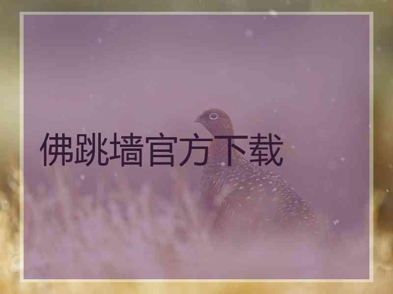 佛跳墙官方下载 佛跳墙官方下载
