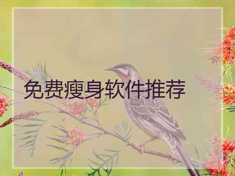 免费瘦身软件推荐 免费瘦身软件推荐