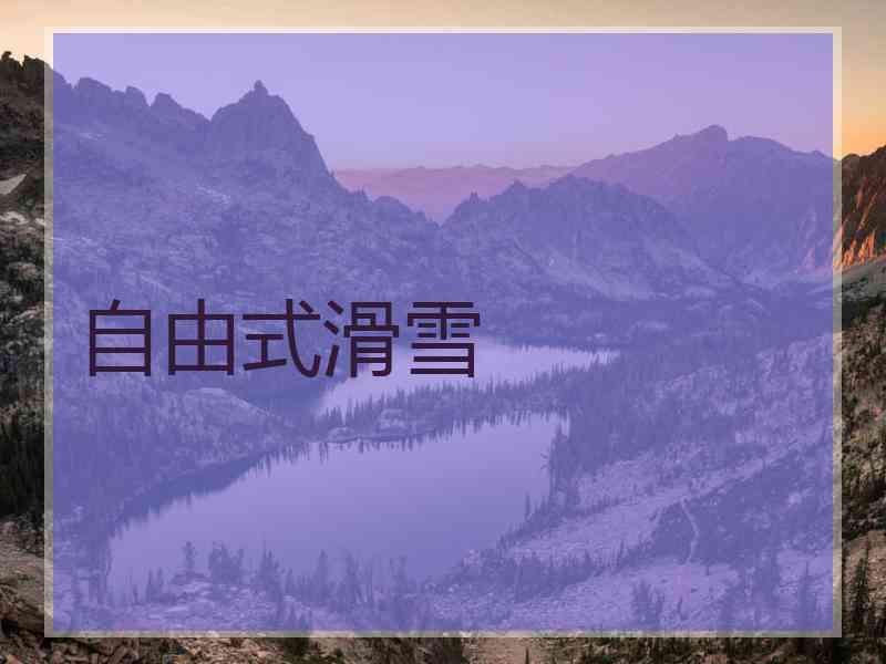 自由式滑雪 自由式滑雪