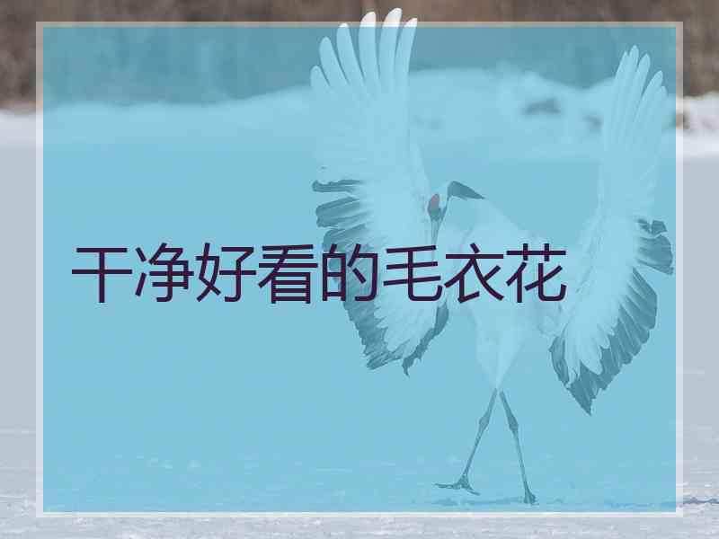 干净好看的毛衣花 干净好看的毛衣花