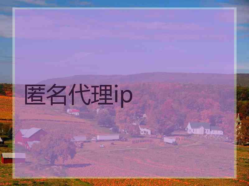 匿名代理ip 匿名代理ip