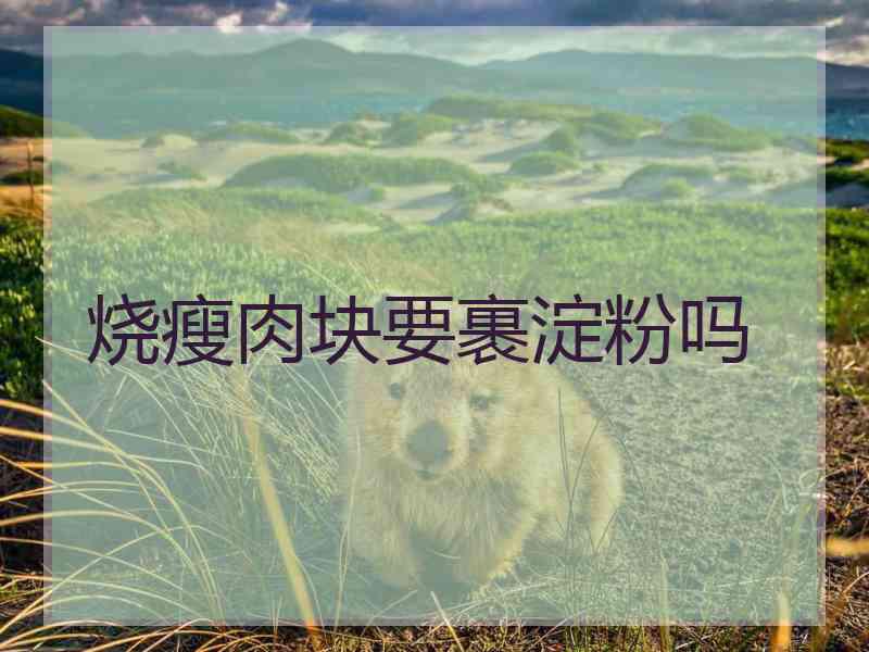 烧瘦肉块要裹淀粉吗 烧瘦肉块要裹淀粉吗