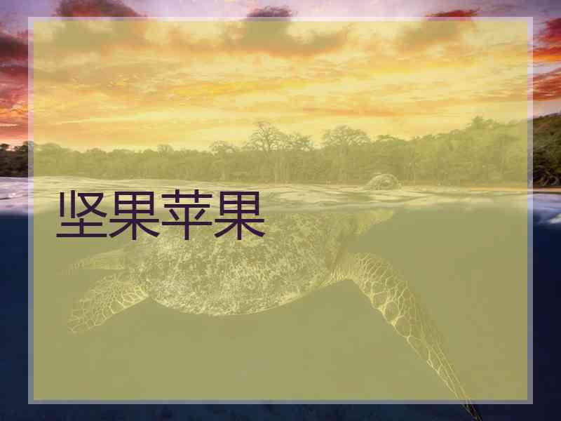 坚果苹果 坚果苹果