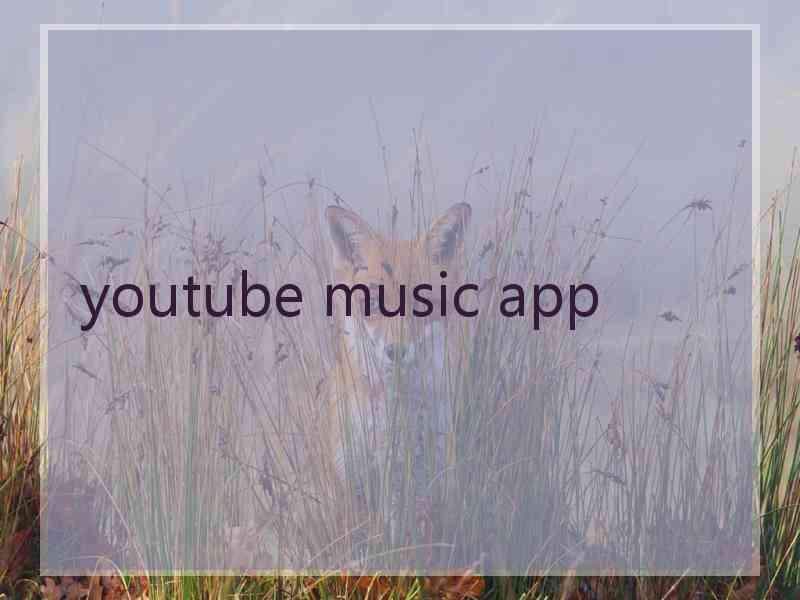 youtube music app