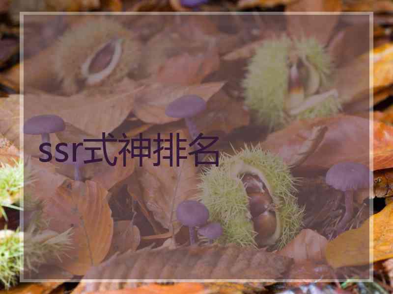ssr式神排名