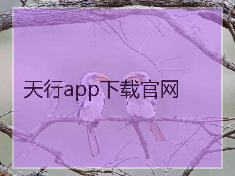 天行app下载官网