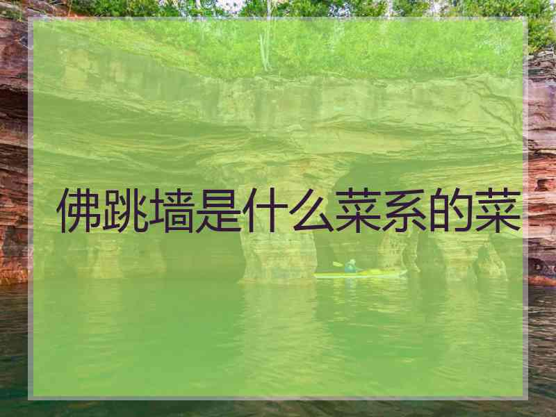 佛跳墙是什么菜系的菜