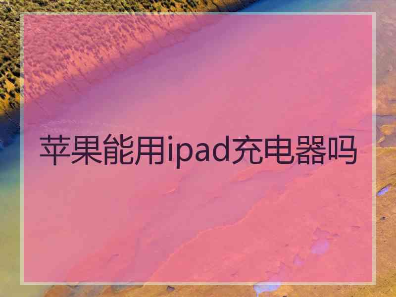 苹果能用ipad充电器吗