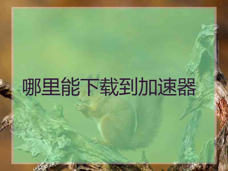 哪里能下载到加速器
