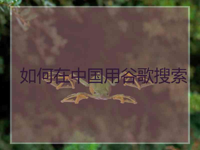 如何在中国用谷歌搜索