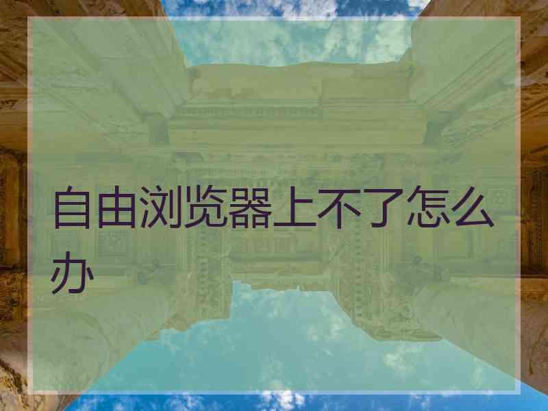 自由浏览器上不了怎么办
