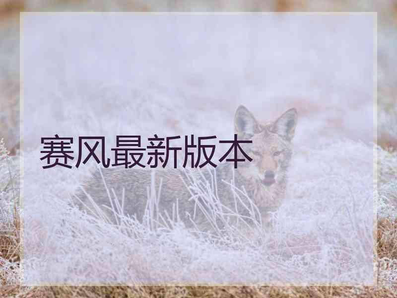 赛风最新版本