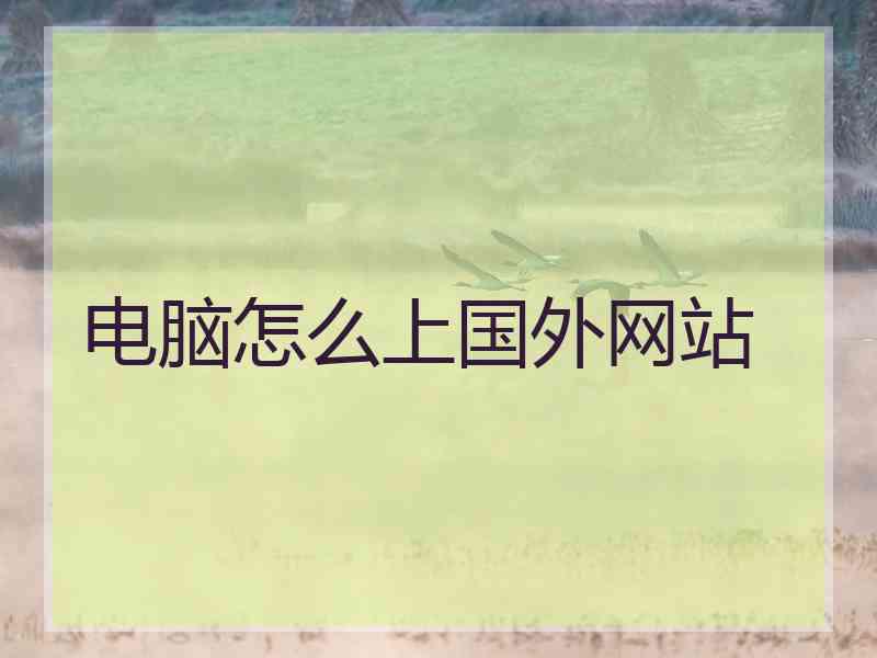 电脑怎么上国外网站