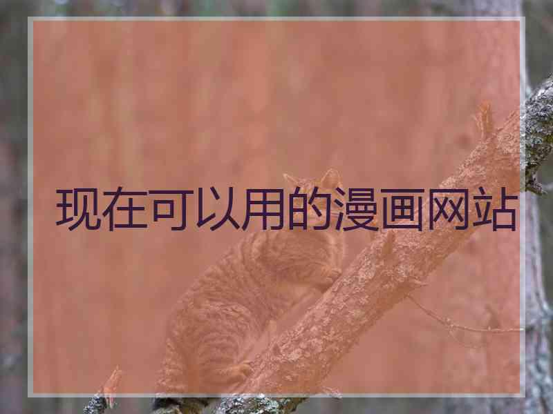 现在可以用的漫画网站
