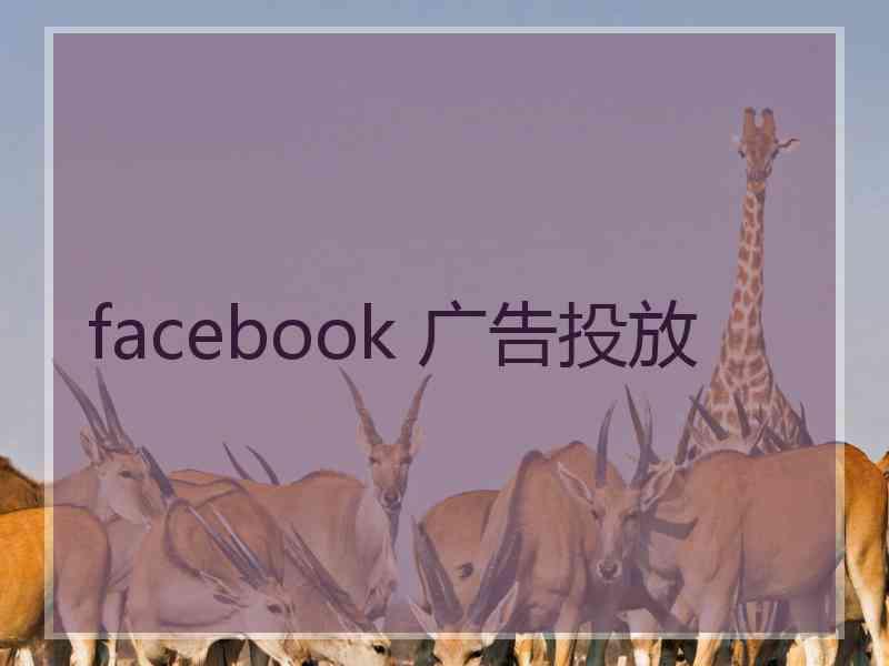 facebook 广告投放