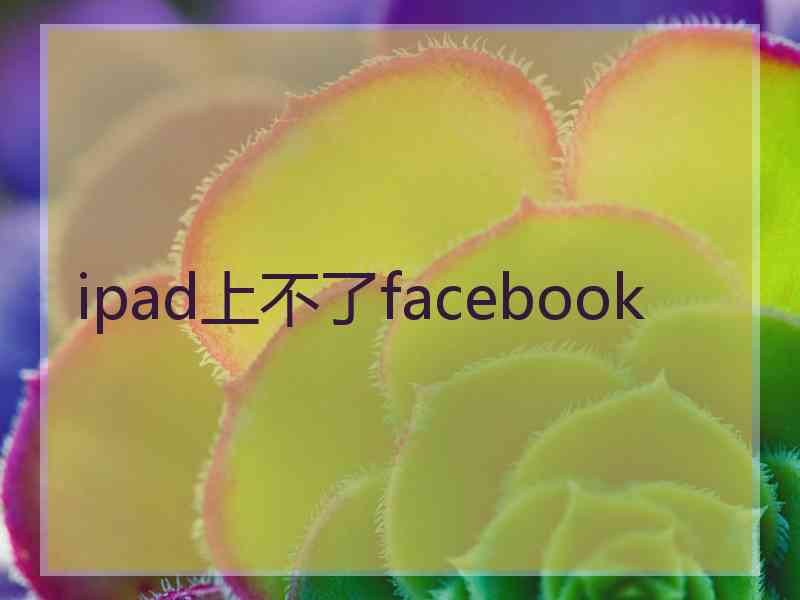 ipad上不了facebook