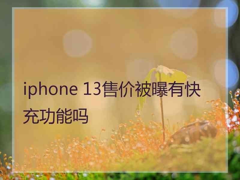iphone 13售价被曝有快充功能吗