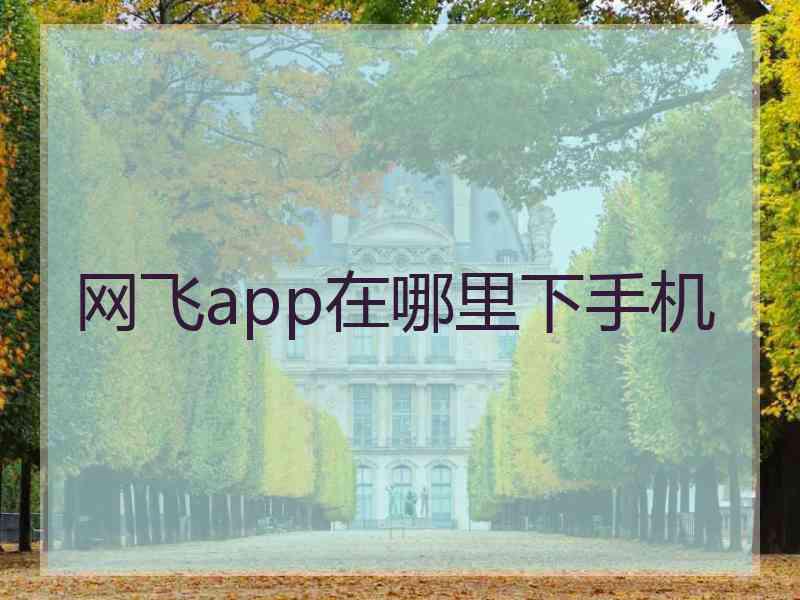 网飞app在哪里下手机