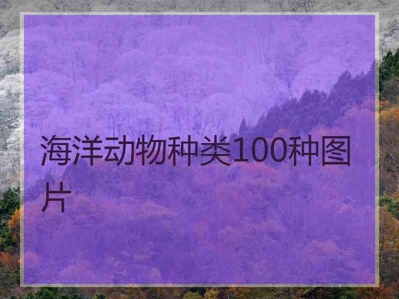 海洋动物种类100种图片