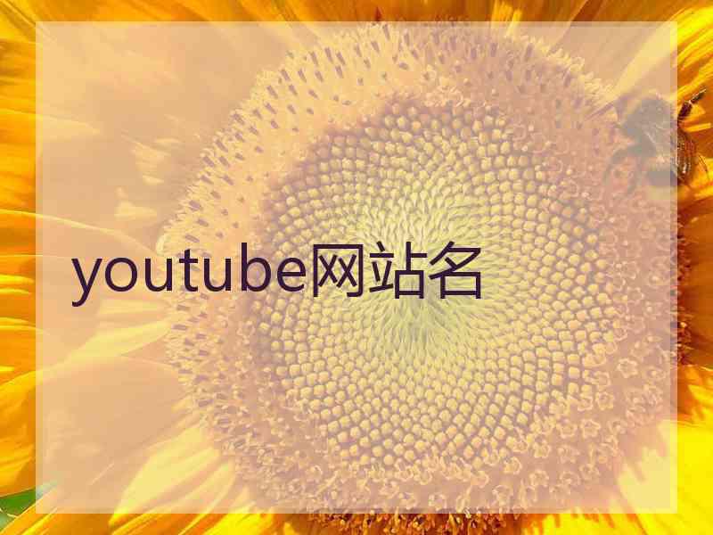 youtube网站名