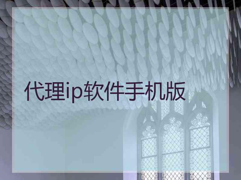代理ip软件手机版