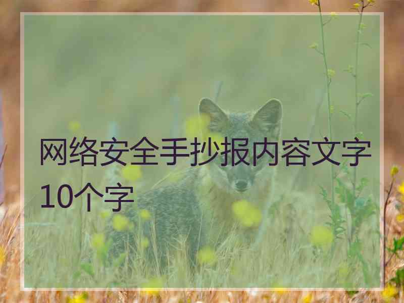 网络安全手抄报内容文字10个字
