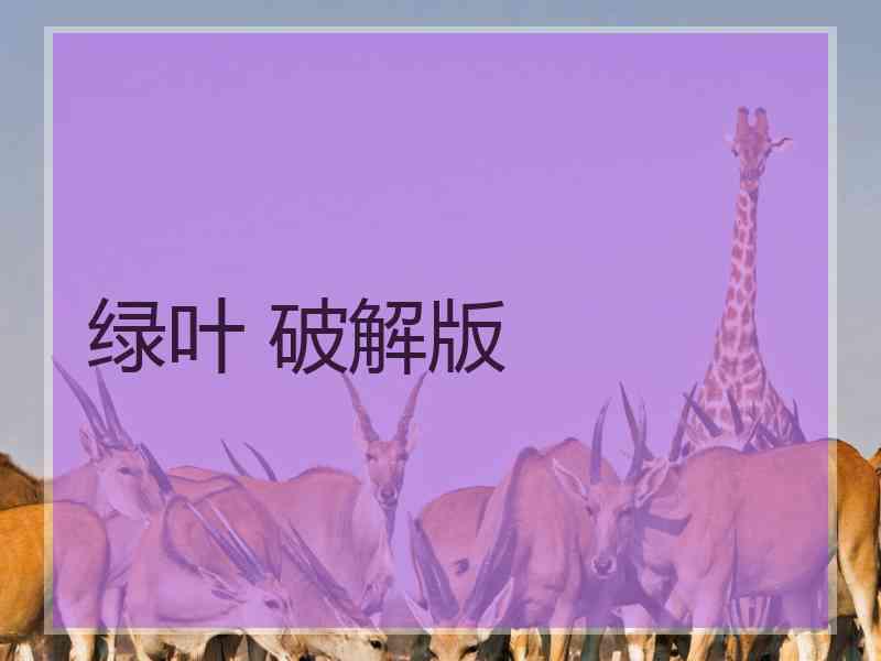 绿叶 破解版