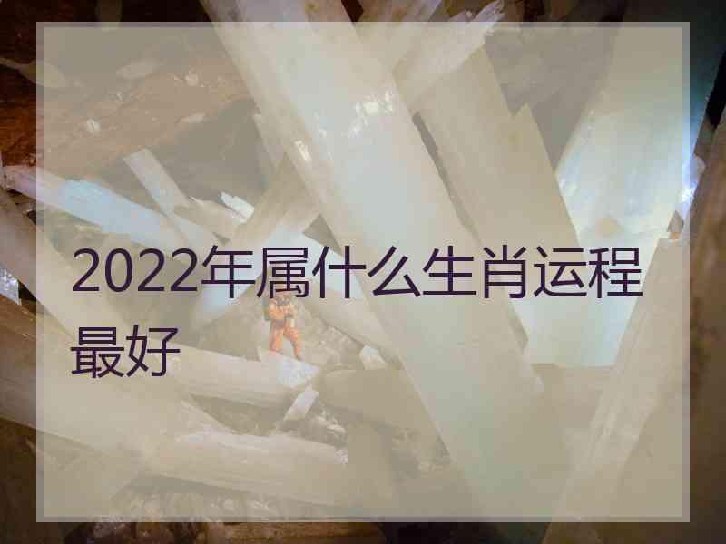 2022年属什么生肖运程最好