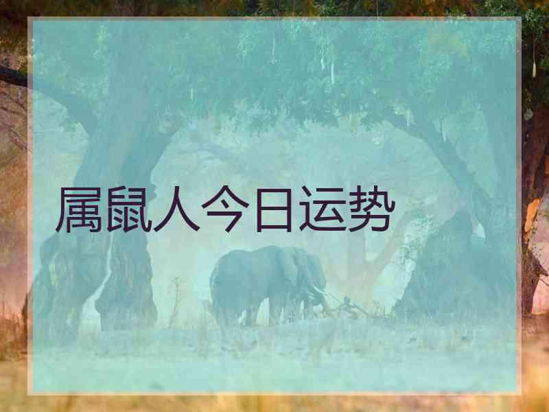 属鼠人今日运势