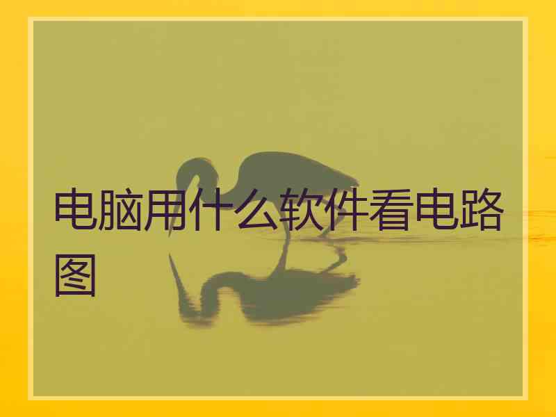 电脑用什么软件看电路图