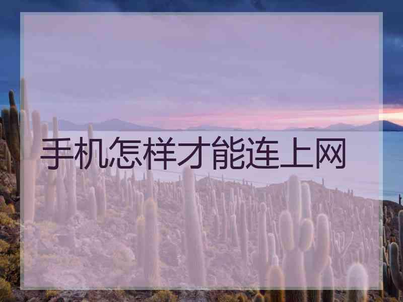 手机怎样才能连上网