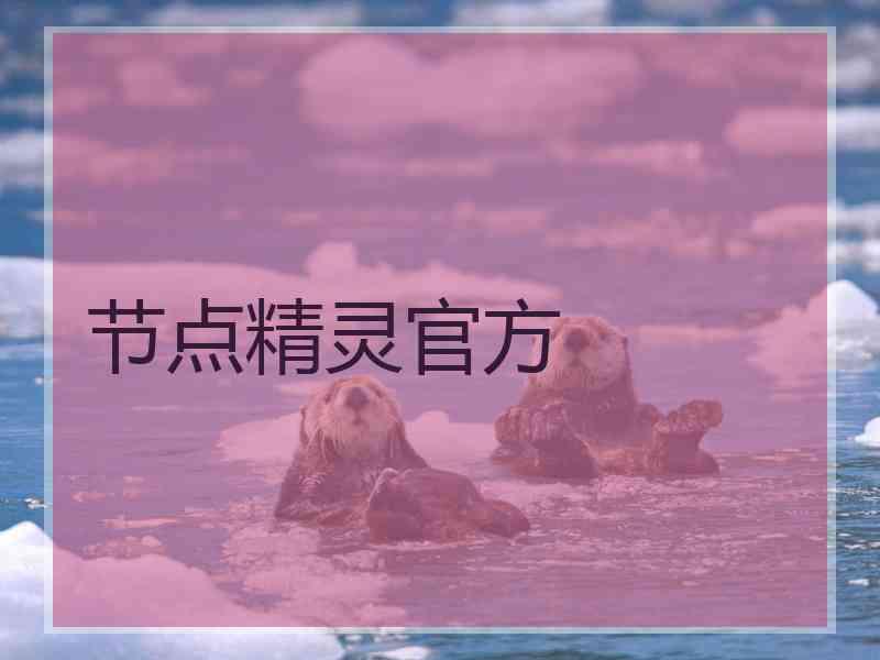 节点精灵官方