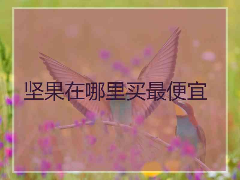 坚果在哪里买最便宜