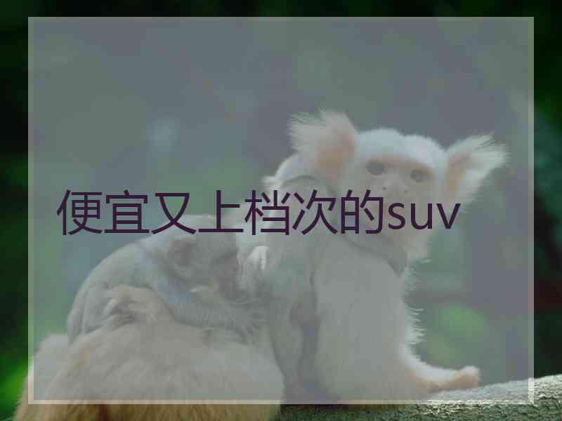 便宜又上档次的suv