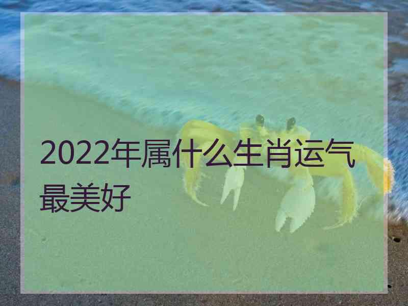 2022年属什么生肖运气最美好