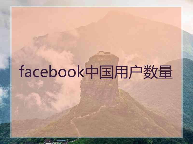 facebook中国用户数量
