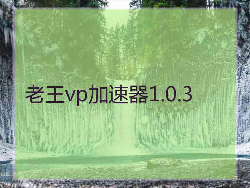 老王vp加速器1.0.3