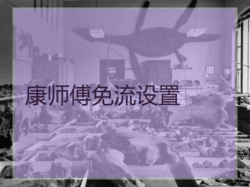 康师傅免流设置