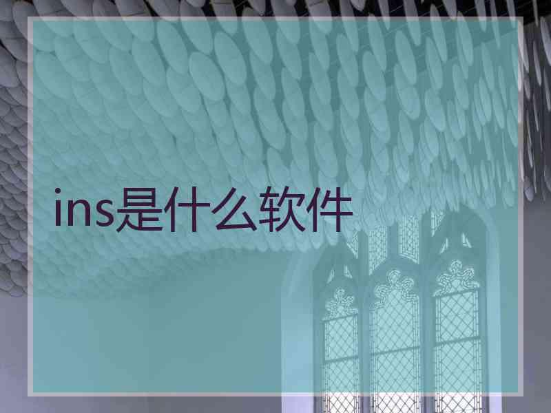ins是什么软件