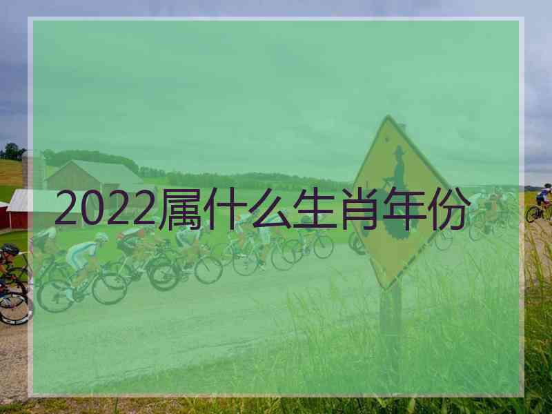 2022属什么生肖年份