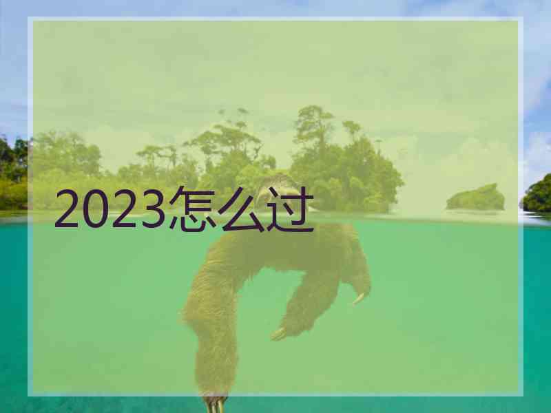 2023怎么过