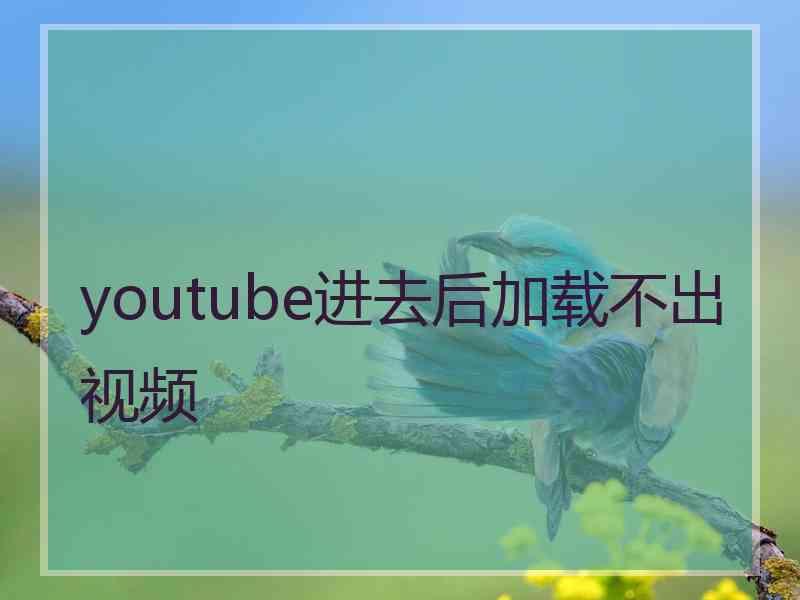 youtube进去后加载不出视频