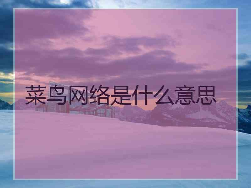 菜鸟网络是什么意思