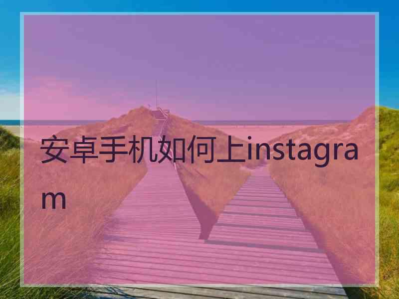 安卓手机如何上instagram