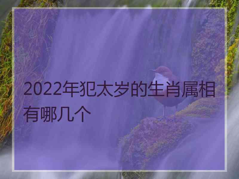 2022年犯太岁的生肖属相有哪几个
