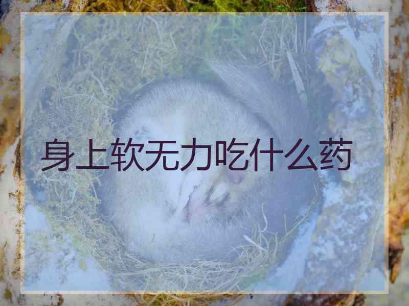 身上软无力吃什么药