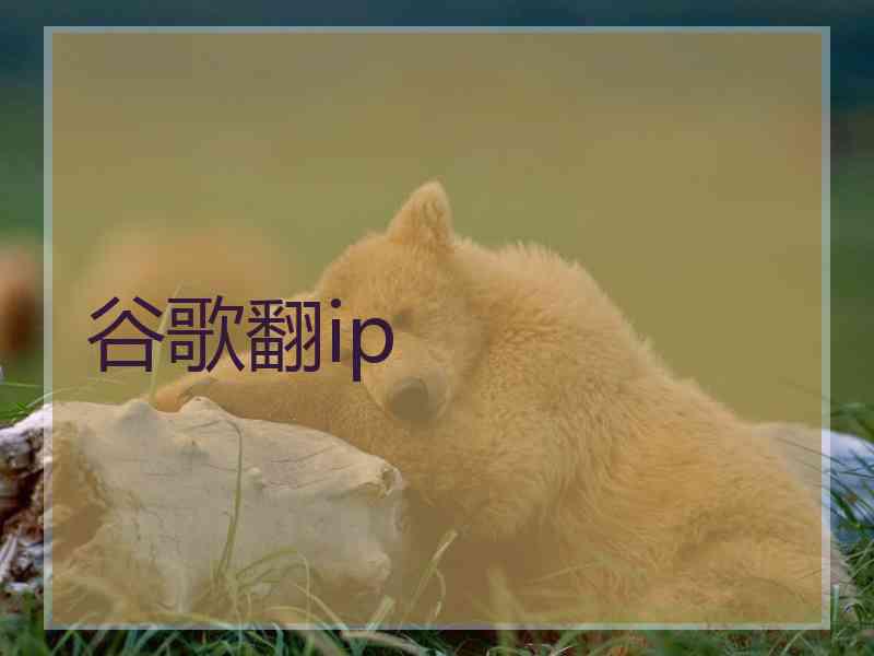 谷歌翻ip