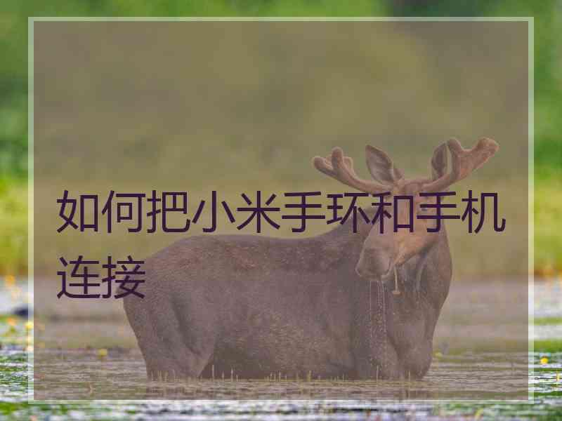 如何把小米手环和手机连接