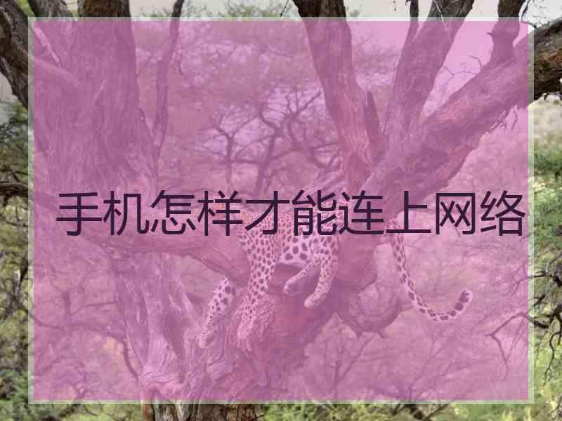 手机怎样才能连上网络