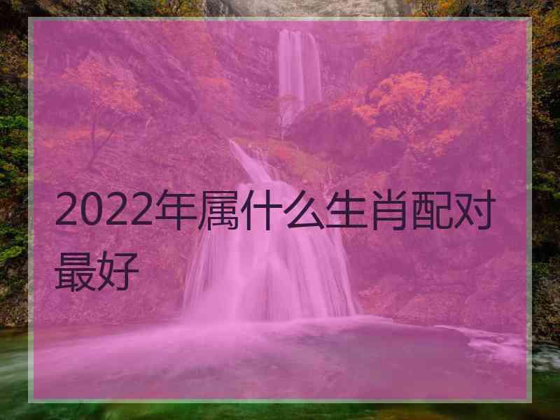 2022年属什么生肖配对最好